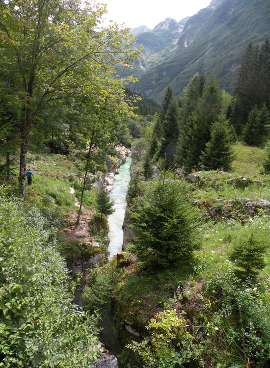 Immersione in fiume sloveno: trota marmorata ed altro...